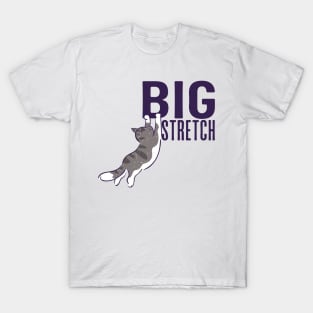 Big Stretch Grey Tabby T-Shirt